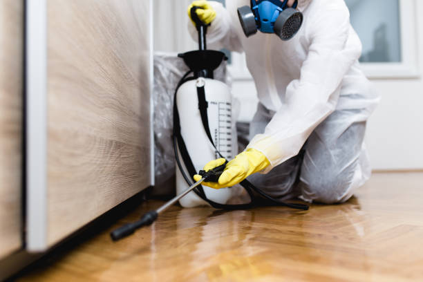 Best Affordable Pest Control Services  in Republic, WA