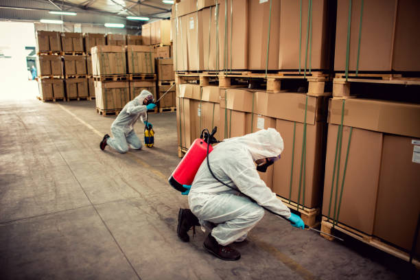 Best Flea Control Services  in Republic, WA
