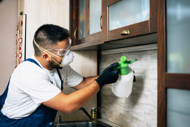Best Best Pest Control Companies  in Republic, WA