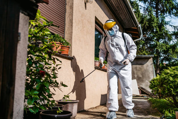 Wasp Removal Services in Republic, WA