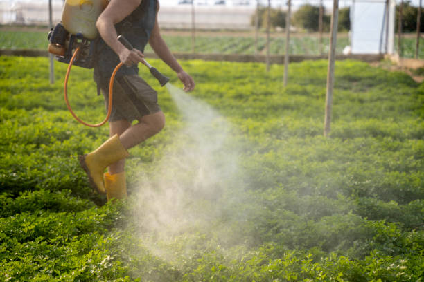 Best Wildlife Control Services  in Republic, WA