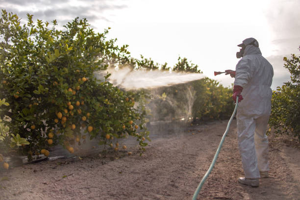 Flea Control Services in Republic, WA