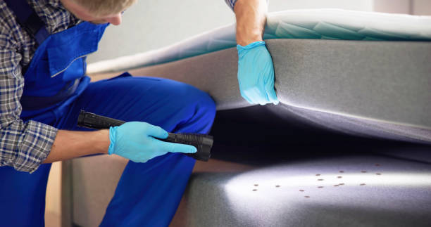 Best Residential Pest Control  in Republic, WA