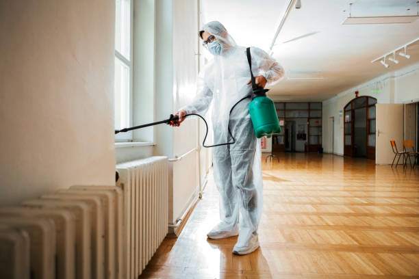 Best Ant Control Services  in Republic, WA