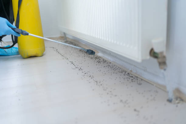 Republic, WA Pest Control Company