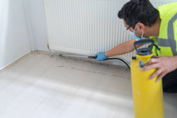 Best Emergency Pest Control  in Republic, WA